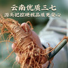 【官方正品】云南白药豹七三七粉520g送礼盒中药材三七极细粉道地文山三七 商品缩略图9