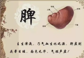  脾有病，人就废了一半，艾灸—最有效的健脾之法 