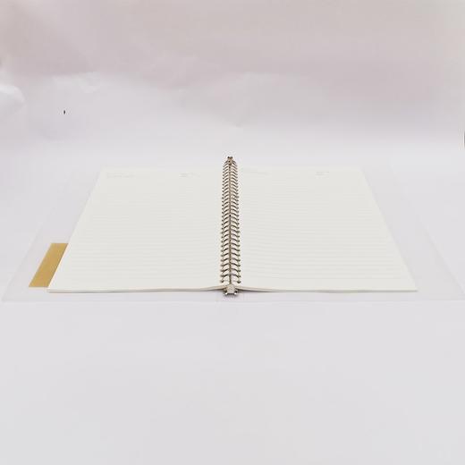 A4 30孔活页夹 可换活页替芯 笔记本 商品图13