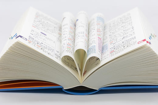 商务馆小学生多功能词典(彩图本) 商品图4