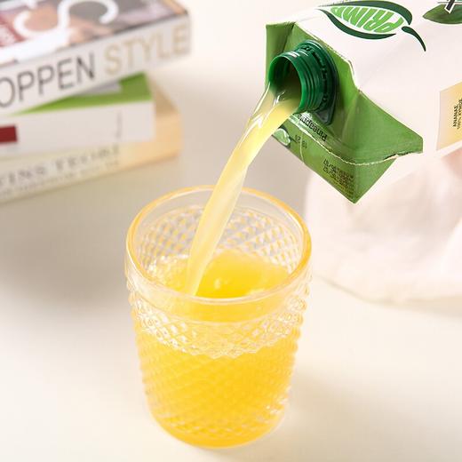 普瑞达菠萝汁1L 商品图3