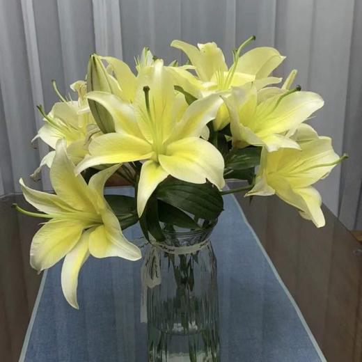 多头黄金甲百合5支29冷链包邮