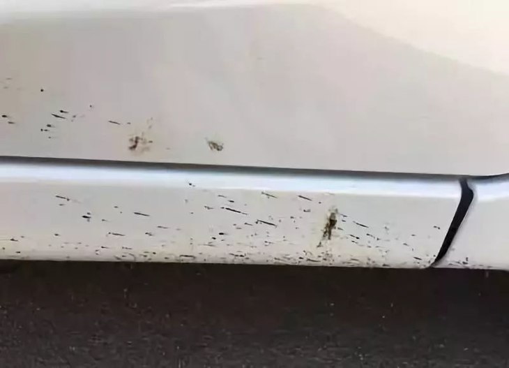 车上沾了沥青怎么办？