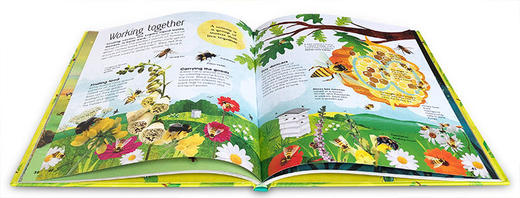 聪明的虫子 英文原版 The Book of Brilliant Bugs DK少儿科普百科读物 英文版儿童英语绘本图画书 进口原版书籍 商品图2
