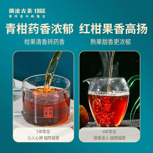 【会员专享礼包】澜沧古茶爆款青柑+红柑礼包980元套组 商品图4
