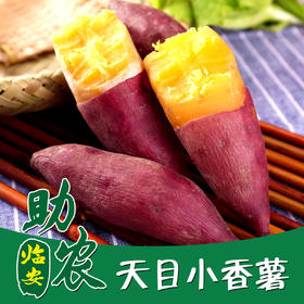 临安天目小香薯【软糯香甜，早餐优选】