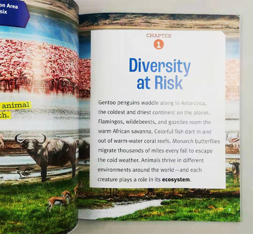 濒危动物 英文原版 Animals in Danger A True Book Climate Change 学乐真相百科 自然气候变化儿童科普知识绘本 英文版 商品图1