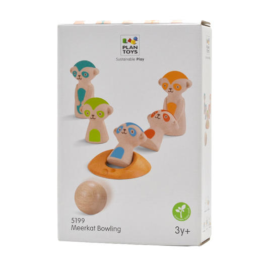 PT儿童室内室外均可保龄球/撞球 商品图5