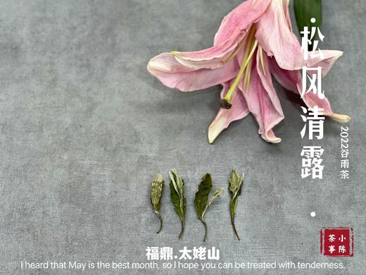 【1斤装】2022高山谷雨茶，年年都会被大多数茶友低估的一款奇茶 商品图3