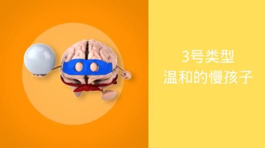 第4节：温和的“慢孩子” 商品图0