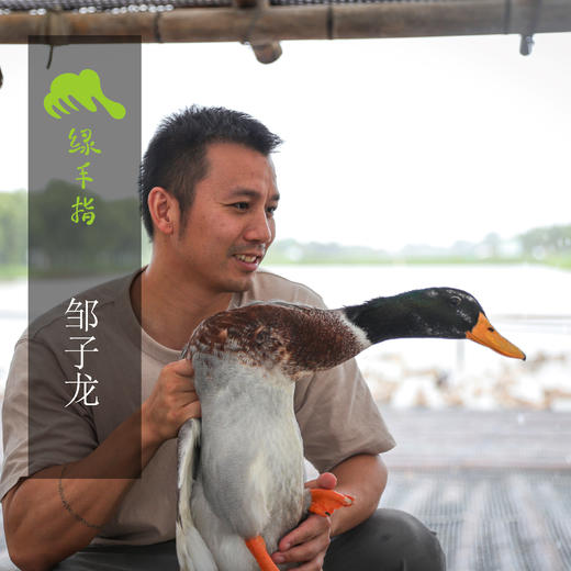 生态麻鸭 | 绿家自产* Eco-white duck | Self-production 商品图1