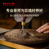 澜沧古茶2022年古木香5年陈普洱茶熟茶150g 商品缩略图2