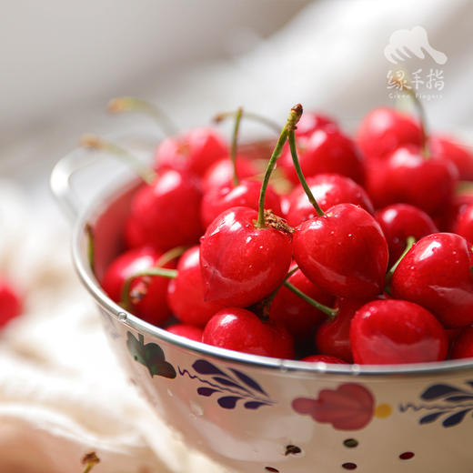 生态山西绛县樱桃 ｜合作生产* Ecological  cherry ｜Coproducted 商品图2
