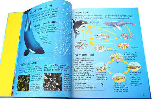 海洋百科全书 英文原版 First Encyclopedia of Seas and Oceans 海洋生物启蒙认知 英文版儿童科普百科 进口原版英语书籍 商品图3