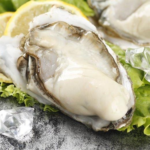 山东乳山生蚝 商品图7