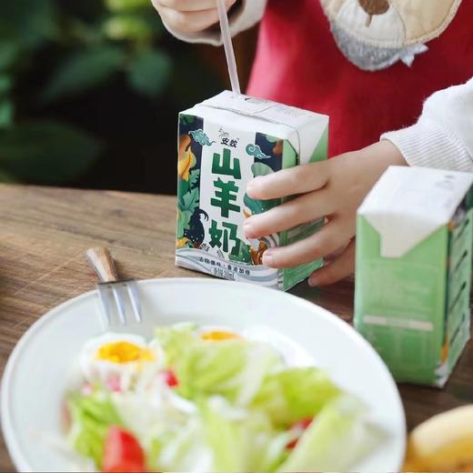 安牧山羊奶 两箱（200ml/盒×10/箱) 商品图4