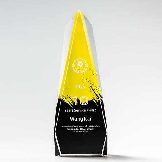 水晶奖杯定制定做创意刻字毕业冠军比赛公司优秀员工奖牌奖杯制作 商品图3