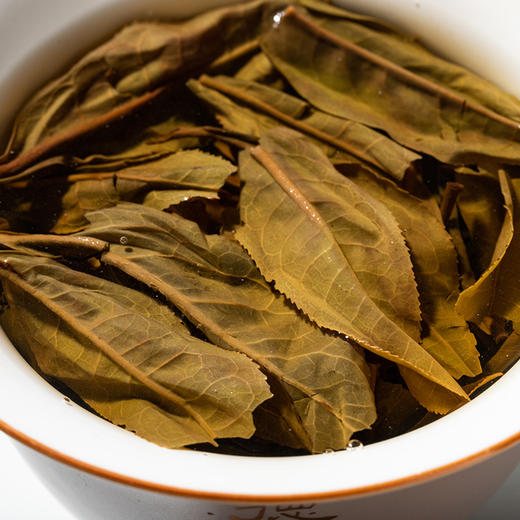 德丰昌普洱茶【黄印·生茶】2022年新品易武弯弓古树茶 商品图4