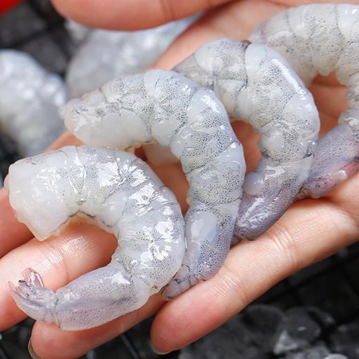 【下单后48小时发货】福建 新鲜活剥特级大虾仁400g*2盒/ 400g*4盒（每盒45只左右） 商品图3