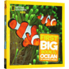 美国国家地理少儿百科英文原版National Geographic Little Kids First Big Book of the Ocean海洋动物系列正版进口英语儿童科普 商品缩略图2