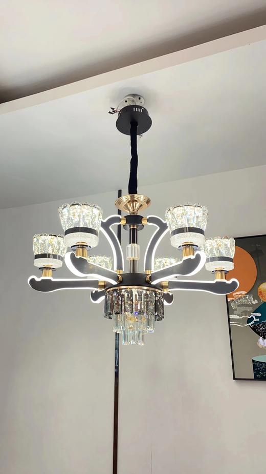 慕斯华 Y012/6 商品图0