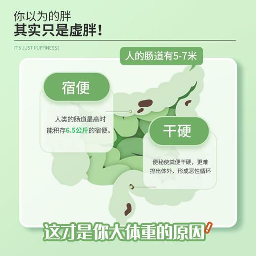 美国进口Norvikon诺维肯益生元软糖调理肠胃清肠排宿便肠胃舒畅一身轻松90颗/瓶 商品图1