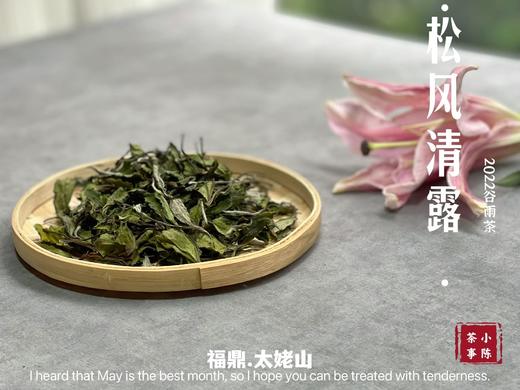 【1斤装】2022高山谷雨茶，年年都会被大多数茶友低估的一款奇茶 商品图1