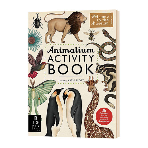 欢迎来到博物馆系列 动物馆活动书 英文原版 Animalium Activity Book 手绘科普读物 英文版进口原版英语书籍 商品图0