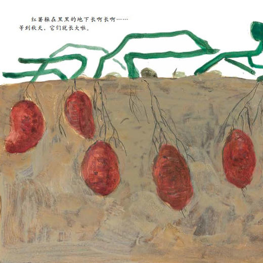 《中国故事·植物篇》（全10册） 商品图12