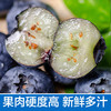 蓝莓鲜果1000g 顺丰装 现摘现发 精选大果 8盒装有机蓝莓 顺丰包邮超级鲜 商品缩略图2