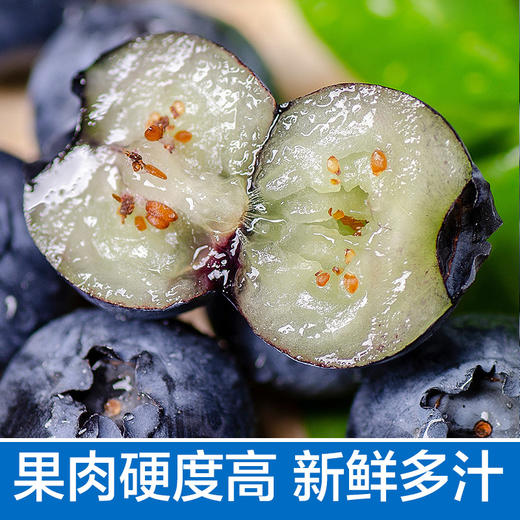 蓝莓鲜果1000g 顺丰装 现摘现发 精选大果 8盒装有机蓝莓 顺丰包邮超级鲜 商品图2