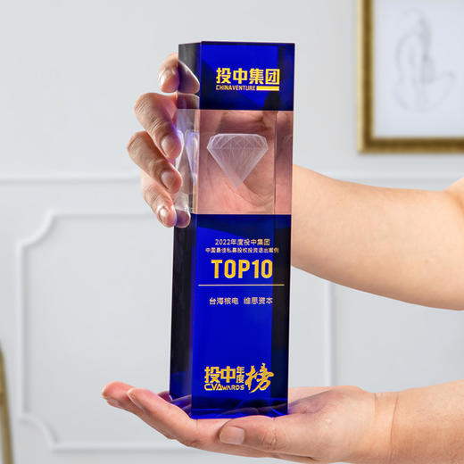 创意蓝色水晶奖杯定制定做冠军3D钻石内雕优秀员工比赛奖杯定制 商品图4