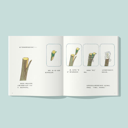 《中国故事·植物篇》（全10册） 商品图8