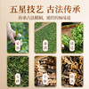 传奇会茶叶 英德红茶 正宗英红九号广东特产特级匠心工夫红茶送礼礼盒装250g 商品缩略图10