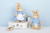 【限定礼盒】英国PETER RABBIT 比得兔120周年限定毛绒公仔中号25cm  比得兔/弗洛普西/本杰明/比得兔夫人 商品缩略图2