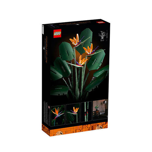 乐高LEGO  天堂鸟  LEGC10289 商品图0