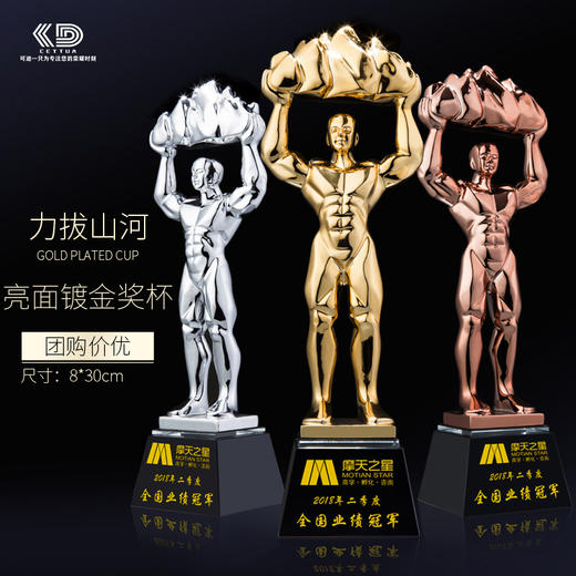镀金树脂奖杯定制创意金属奖杯定做金银铜奖健身比赛奖项制作刻字 商品图0