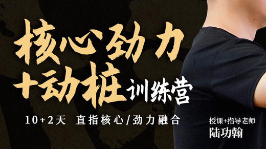 核心劲力＋动桩直播带练总结1 商品图0