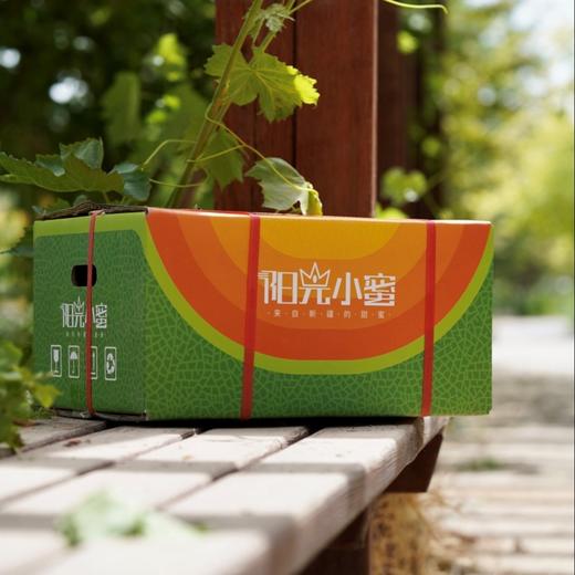 清甜不腻很夏天 新疆“西州蜜25号”头茬哈密瓜 商品图6