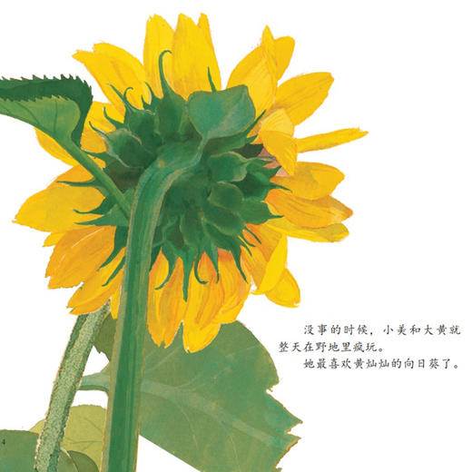 《中国故事·植物篇》（全10册） 商品图4
