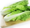 毛白菜  约500g 【BC】【XZ】 商品缩略图0