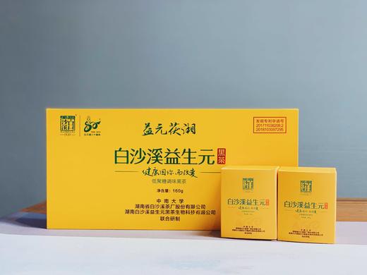 益生元黑茶  益元茯湘 茯砖 商品图0