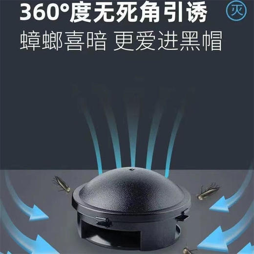 日本小强一锅端家用捕捉神器灭蟑螂屋有效灭蟑螂蟑螂药 商品图3