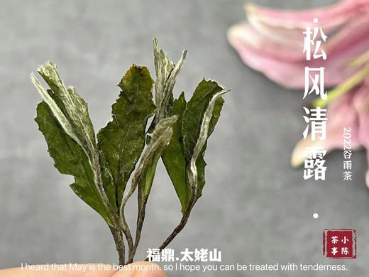 【1斤装】2022高山谷雨茶，年年都会被大多数茶友低估的一款奇茶 商品图7
