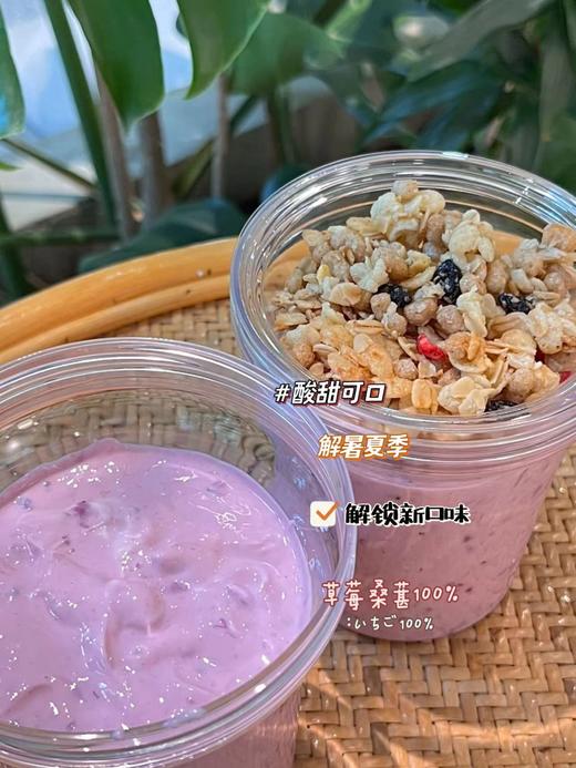 春夏家自制 | 冷萃酸奶 | 商品图4