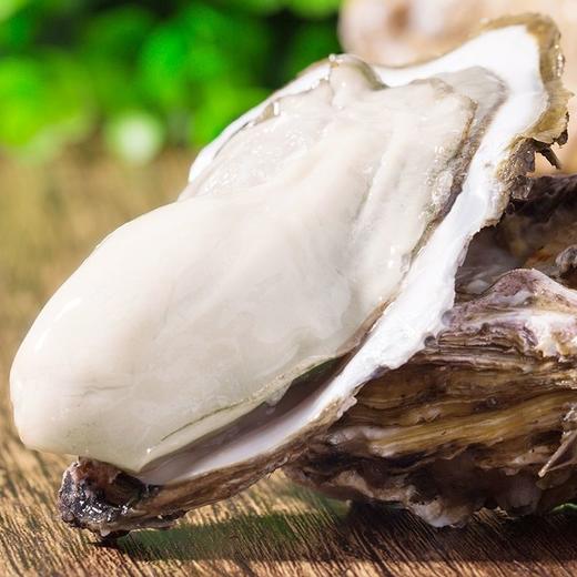 山东乳山生蚝 商品图3