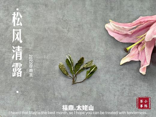 【1斤装】2022高山谷雨茶，年年都会被大多数茶友低估的一款奇茶 商品图6