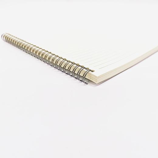 简约B5 PP面金属铁圈笔记横线本子高中学生课堂笔记办公会议记录日常随手记手账1本 商品图3