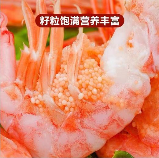 【顺丰包邮】北极甜虾刺身 ——即食 满籽北极虾冰虾新鲜冷冻3斤 商品图1