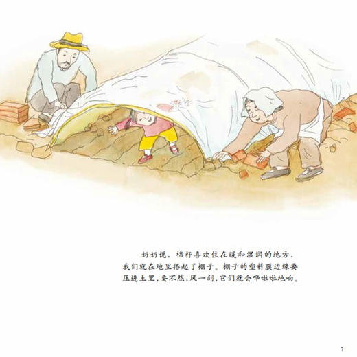 《中国故事·植物篇》（全10册） 商品图6